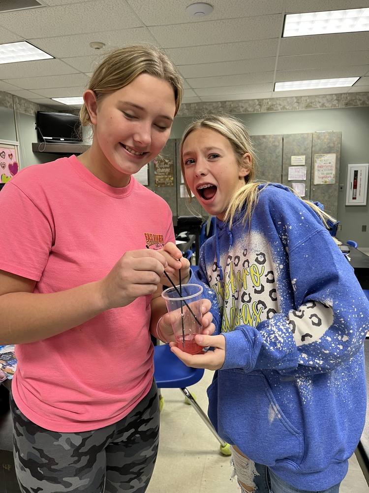 7th Grade Strawberry DNA Extraction Science Project.