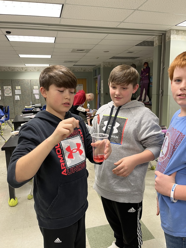 7th Grade Strawberry DNA Extraction Science Project.